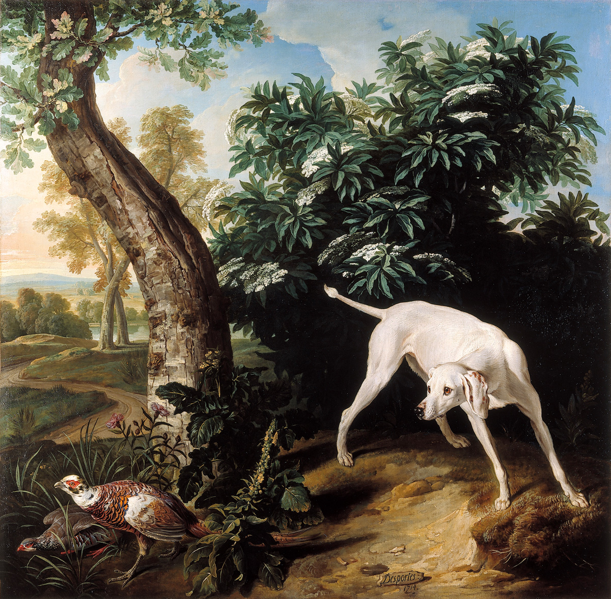 white dog in front of an elderberry bush